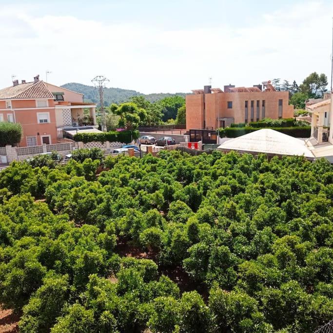 Piso Sierra Calderona A 15 Minutos Del Mar Estivella Διαμέρισμα Εξωτερικό φωτογραφία