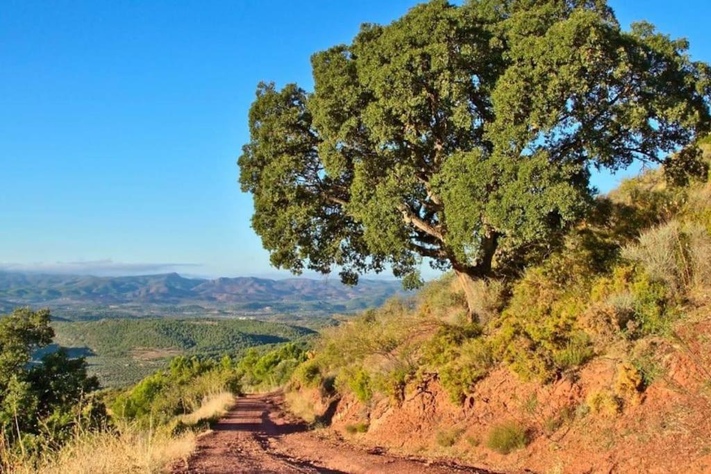 Piso Sierra Calderona A 15 Minutos Del Mar Estivella Διαμέρισμα Εξωτερικό φωτογραφία
